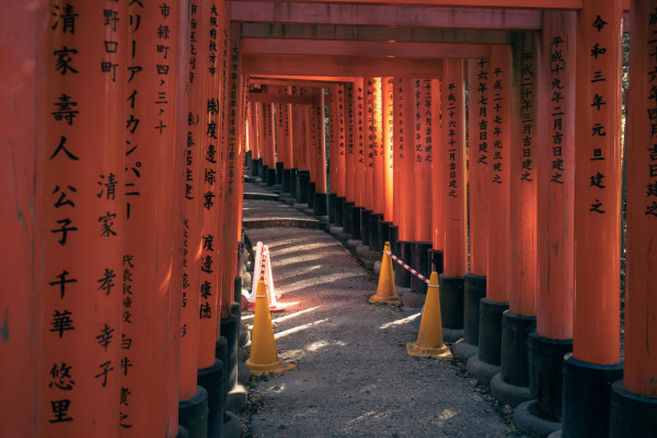 A long line of torii with a a portion removed for repairs.
