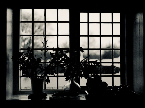High contrast monochrome photograph of a window with rectangular leaded glass panes. In front of the bottom half of the window are silhouetted flowers in two vases on the left and fruit in two bowls on the right; behind these the window panes are obscured by condensation. Through the window are out-of-focus trees and bushes.