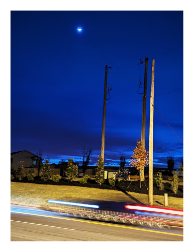 in the foreground, light trails from a car on a three-lane section of rural road. on the far side, a narrow grass embankment with power poles and newly-planted shrubs and trees in mulch. a house sits at left. the sky is inky blue with first light at the horizon. a bottom crescent moon is middle top of the picture.