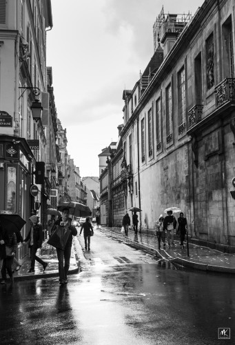 Black and white photo of a Paris street on a rainy day with pedestrians carrying umbrellas.